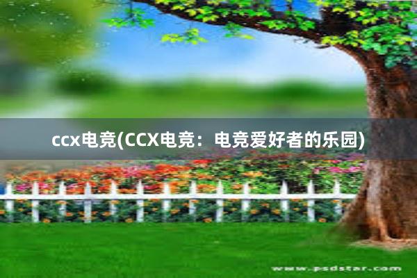 ccx电竞(CCX电竞：电竞爱好者的乐园)