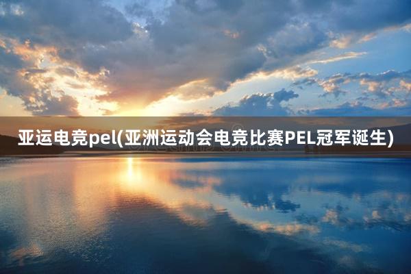 亚运电竞pel(亚洲运动会电竞比赛PEL冠军诞生)