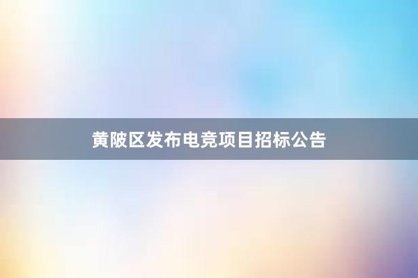 黄陂区发布电竞项目招标公告