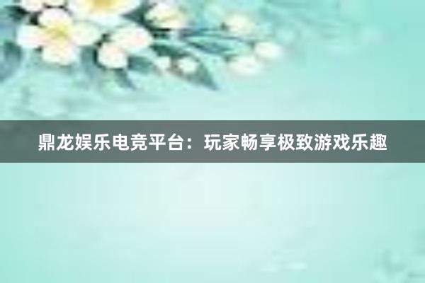 鼎龙娱乐电竞平台：玩家畅享极致游戏乐趣